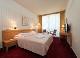 Dvojlôžková izba Standard - Kúpele Piešťany ESPLANADE Ensana Health Spa Hotel - krídlo PALACE
