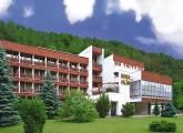 Trenčianske Teplice Hotel Flóra